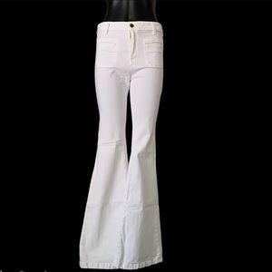 Anthropologie Pilcro Superscript Flare Jeans 28